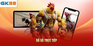 Đá gà trực tiếp